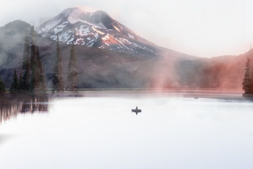 Foggy alone