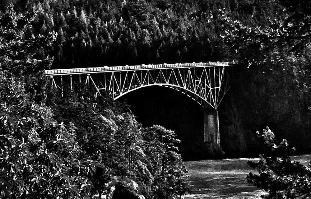 Photograph by Stephanie E’amato