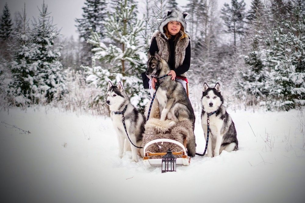 Photograph by Alin Ka