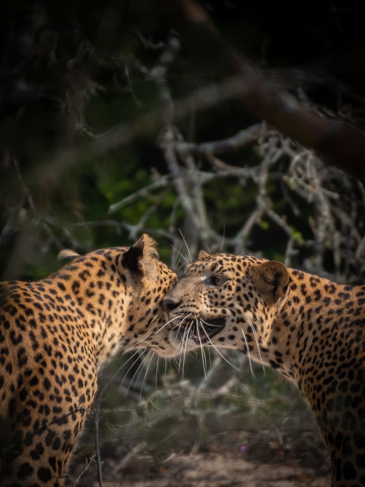 At the end of pandemic