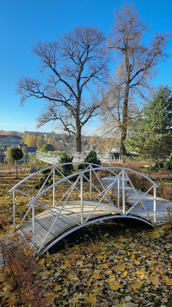 Photograph by Ольга Новоселова