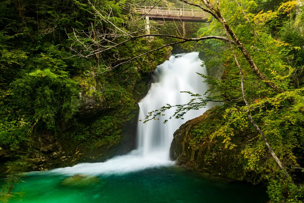 Photograph by Boris Pušnik