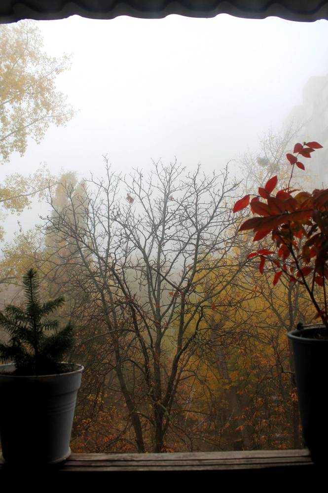 Фотография автора Алла Черноморская