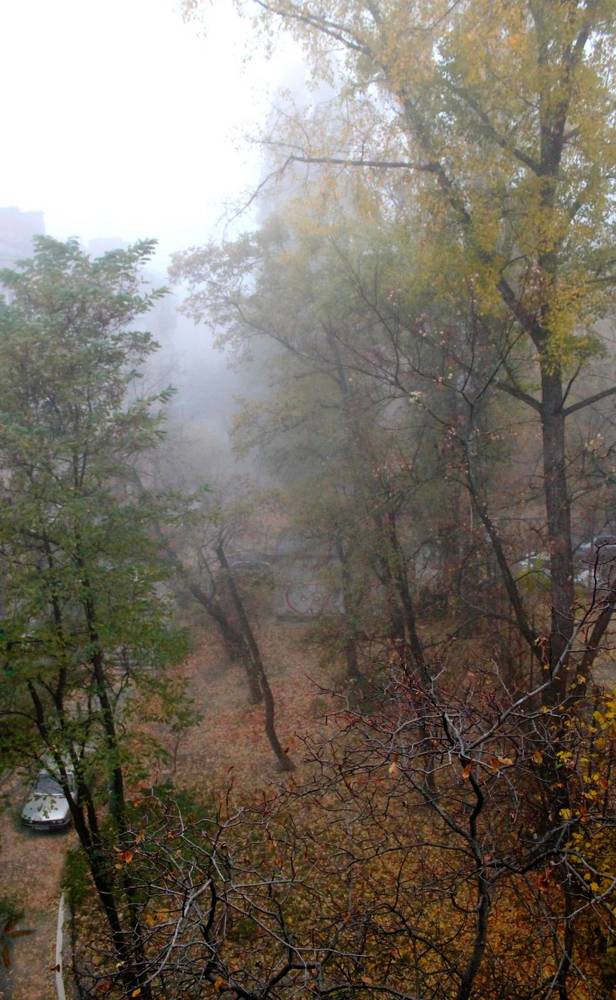 Фотография автора Алла Черноморская