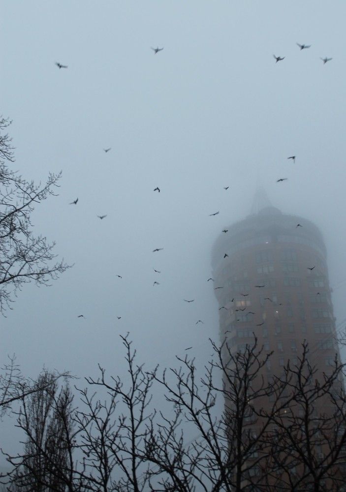 Фотография автора Алла Черноморская