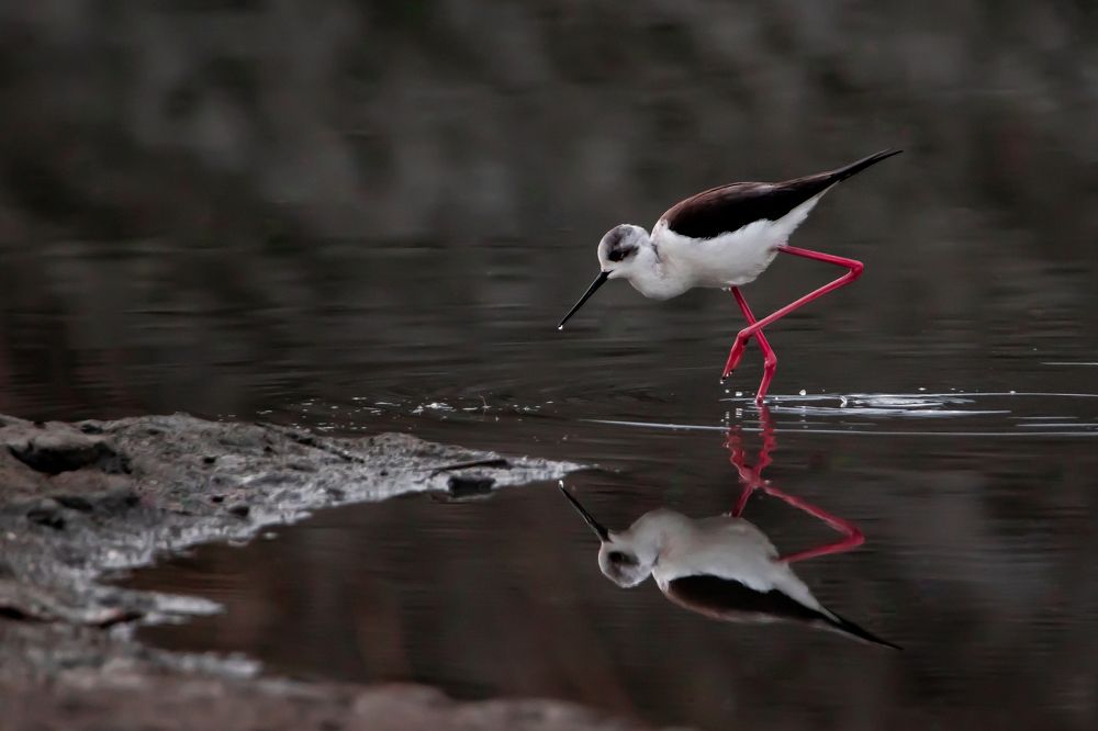 Photograph by Алёна Газукина