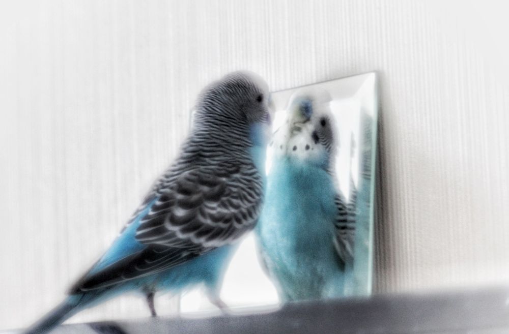 Photograph by Алексей Кроль