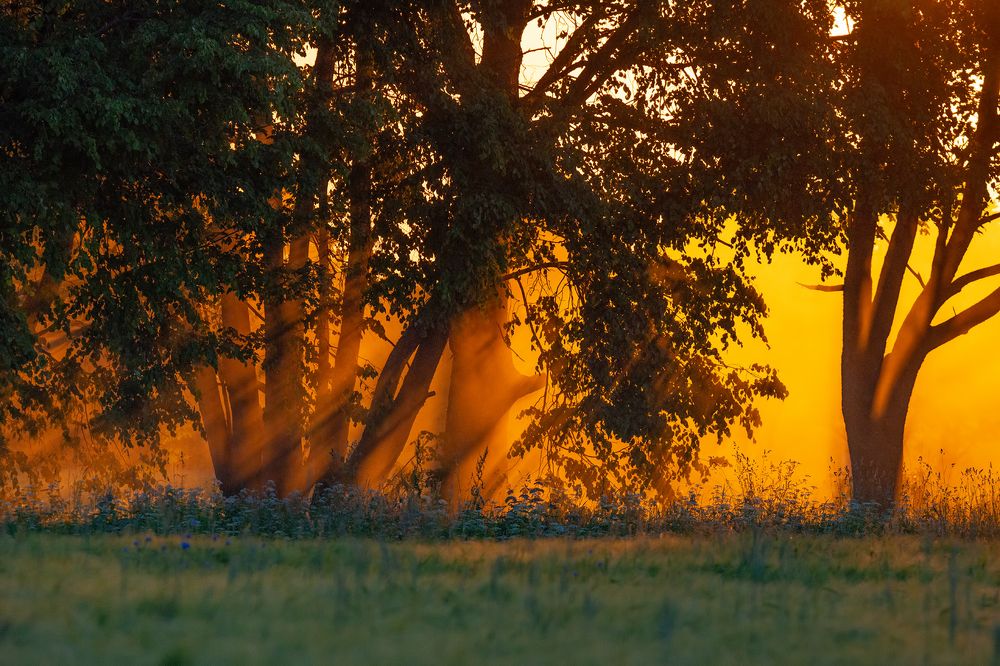 Photograph by Gatis Vilbrants