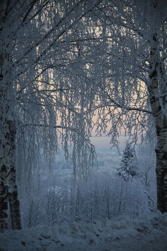 Морозное утро