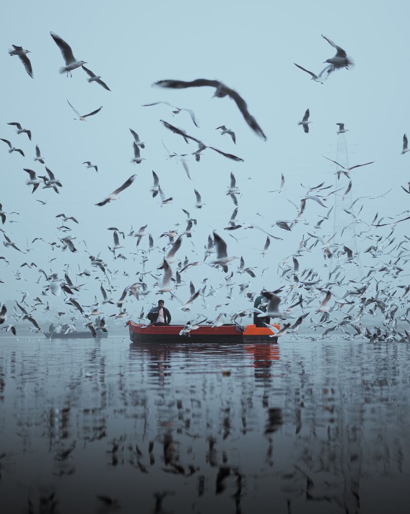 Photograph by Singh Shailendra