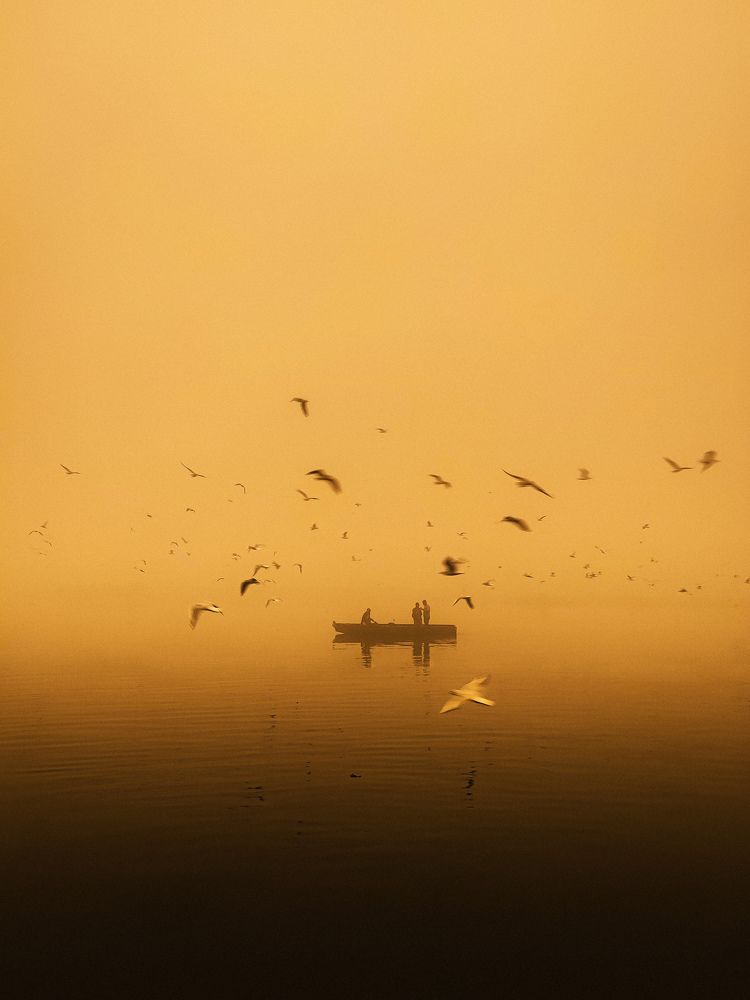 Photograph by Singh Shailendra