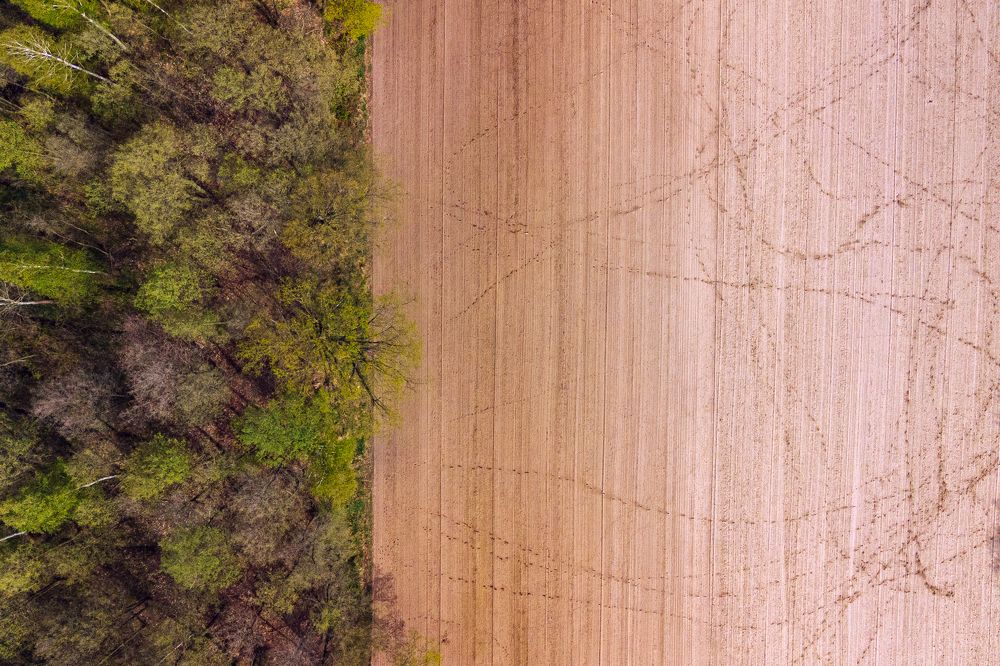 Photograph by Kamil Stępień