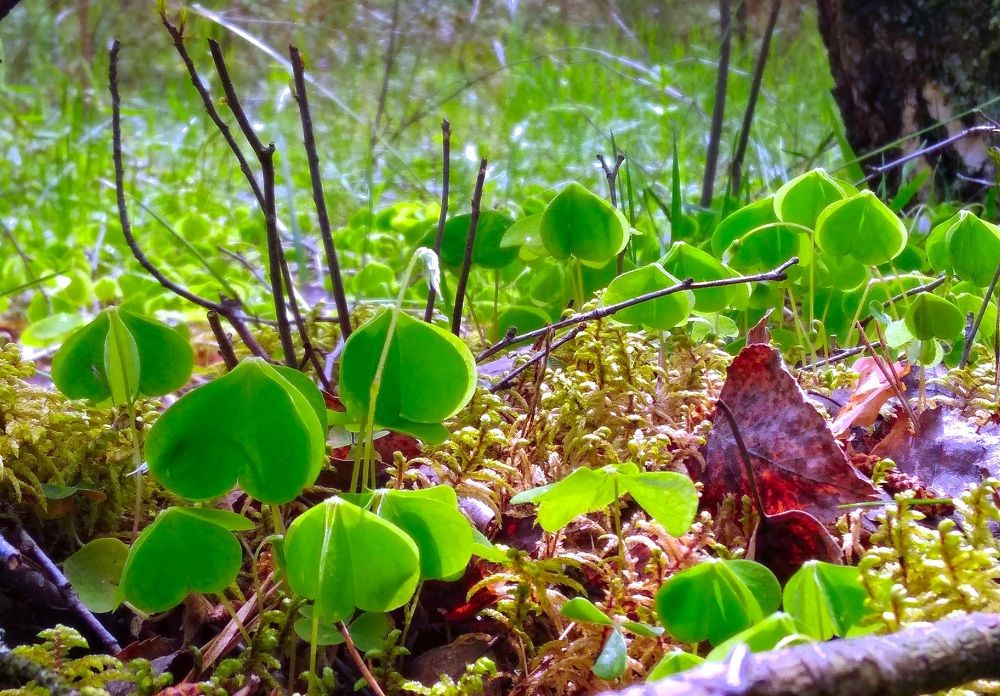 Фотография автора Анжелика Чашинская