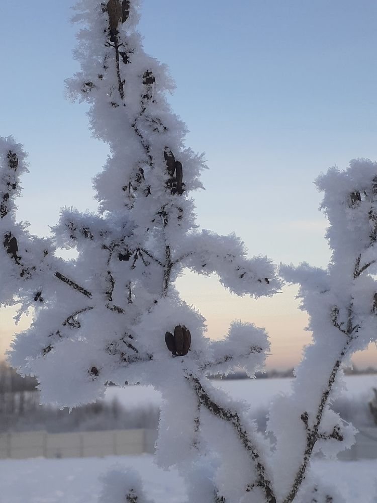Photograph by Ведерникова Мария