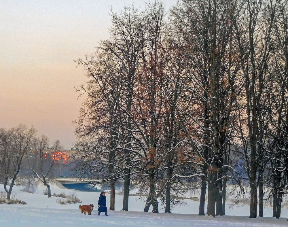 Зимний вечер