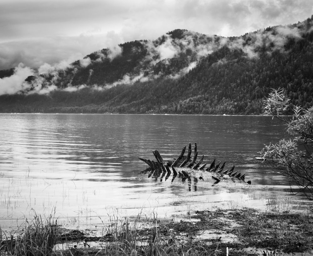 Телецкое чудовище