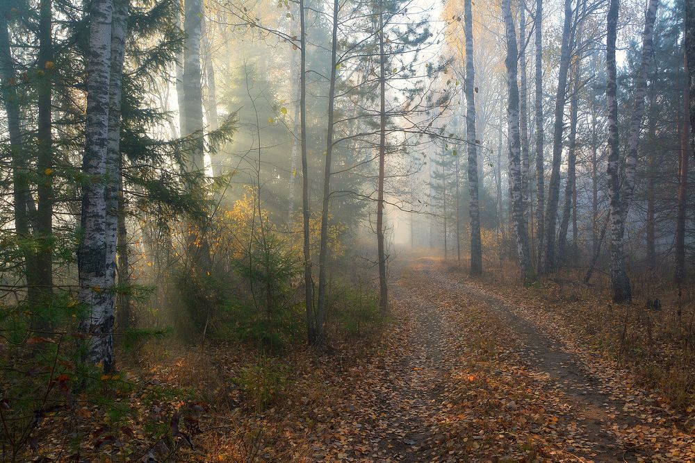 Photograph by Сергей Алексеев