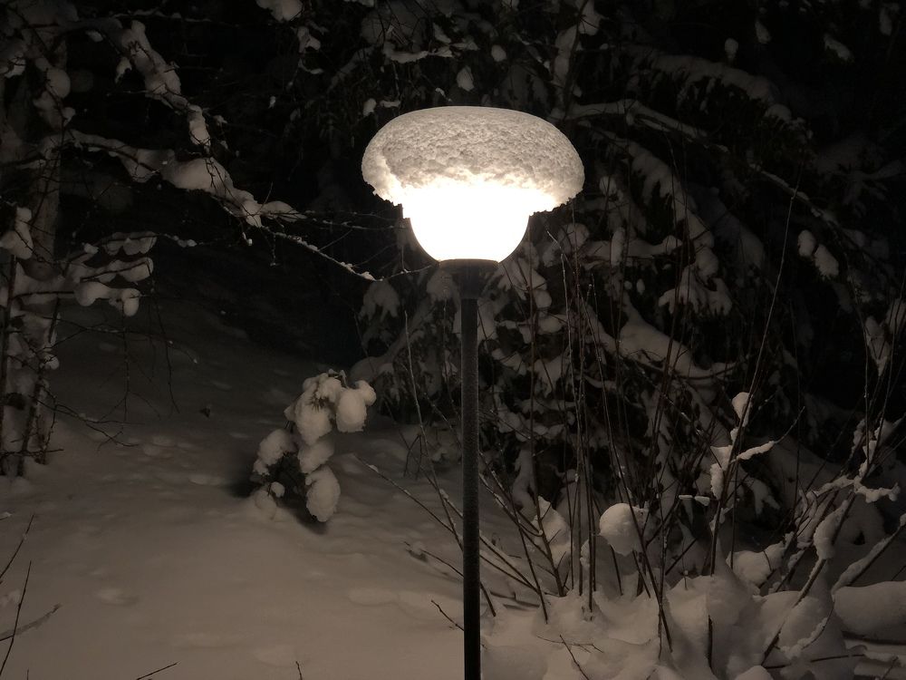 Photograph by ЮЛИЯ СУЛИМОВА