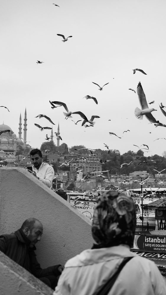 Photograph by Никита Ермаков