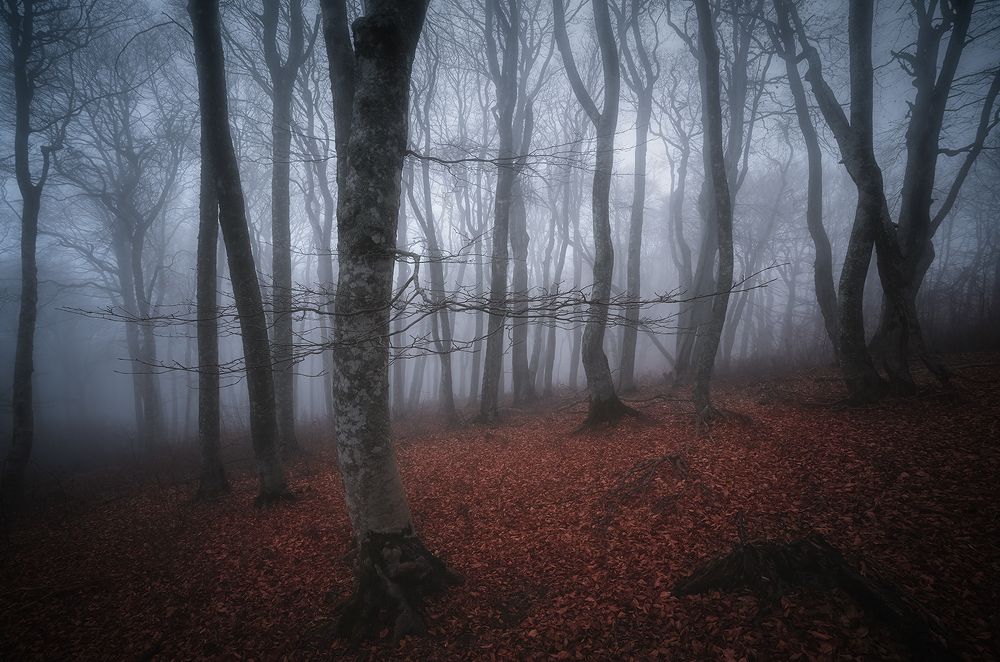 Photograph by Игорь Кляхин