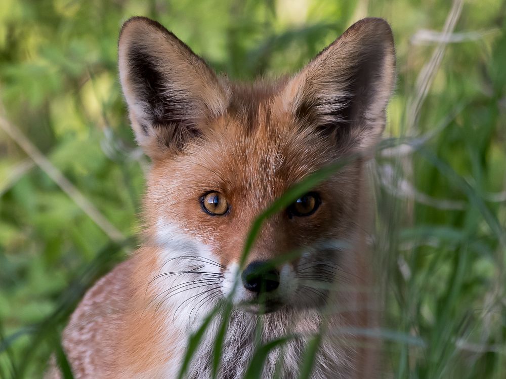 Photograph by Valerijs Bukovskis