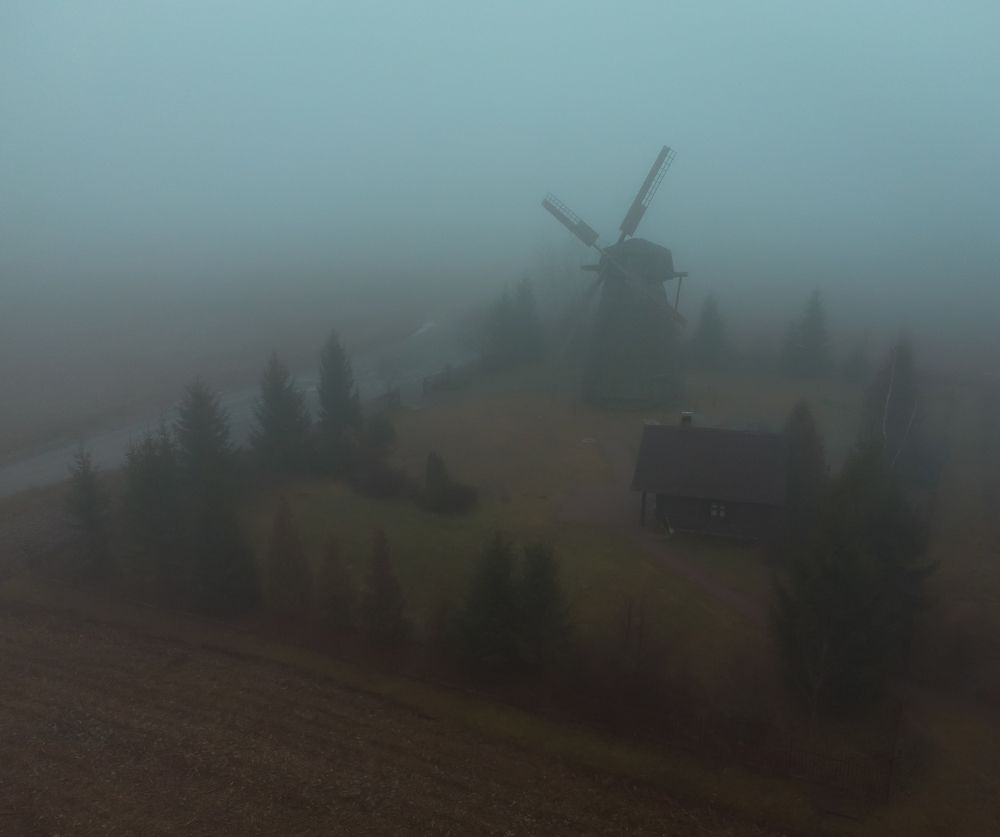 Photograph by Дмитрий Котов