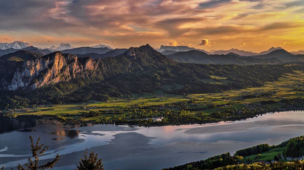 Фотография автора ROMAN Wieckowski