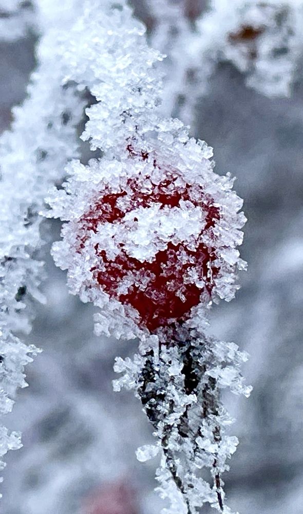 Photograph by Григорий Лыжин