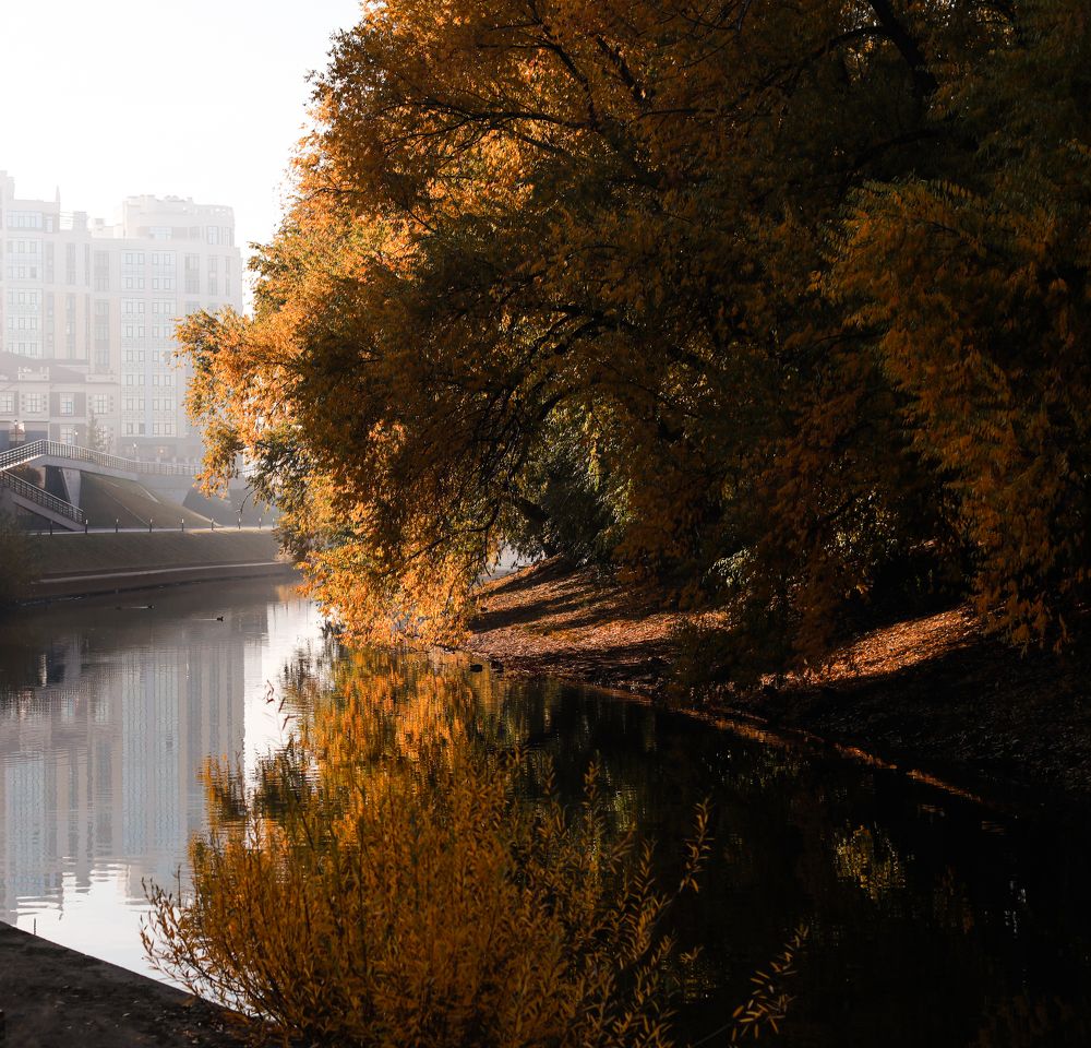 Photograph by Наталья Кузнецова