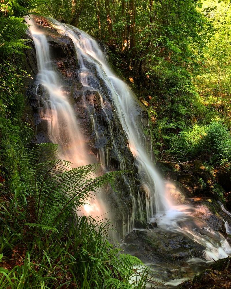 Photograph by Olga Tourtchinovitch