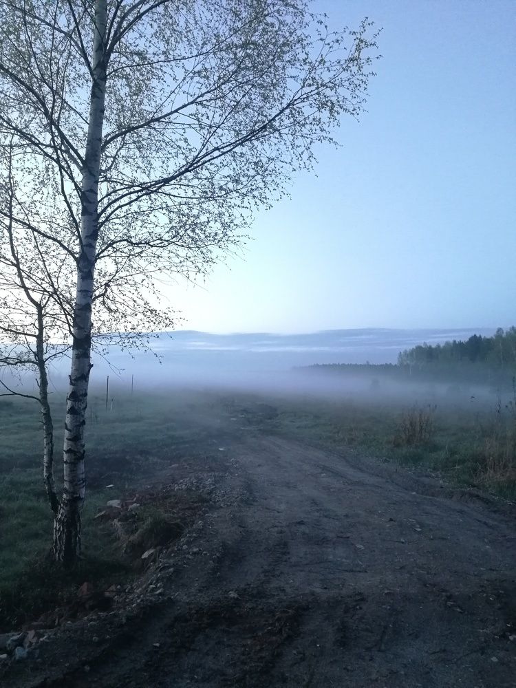 Photo #6866218