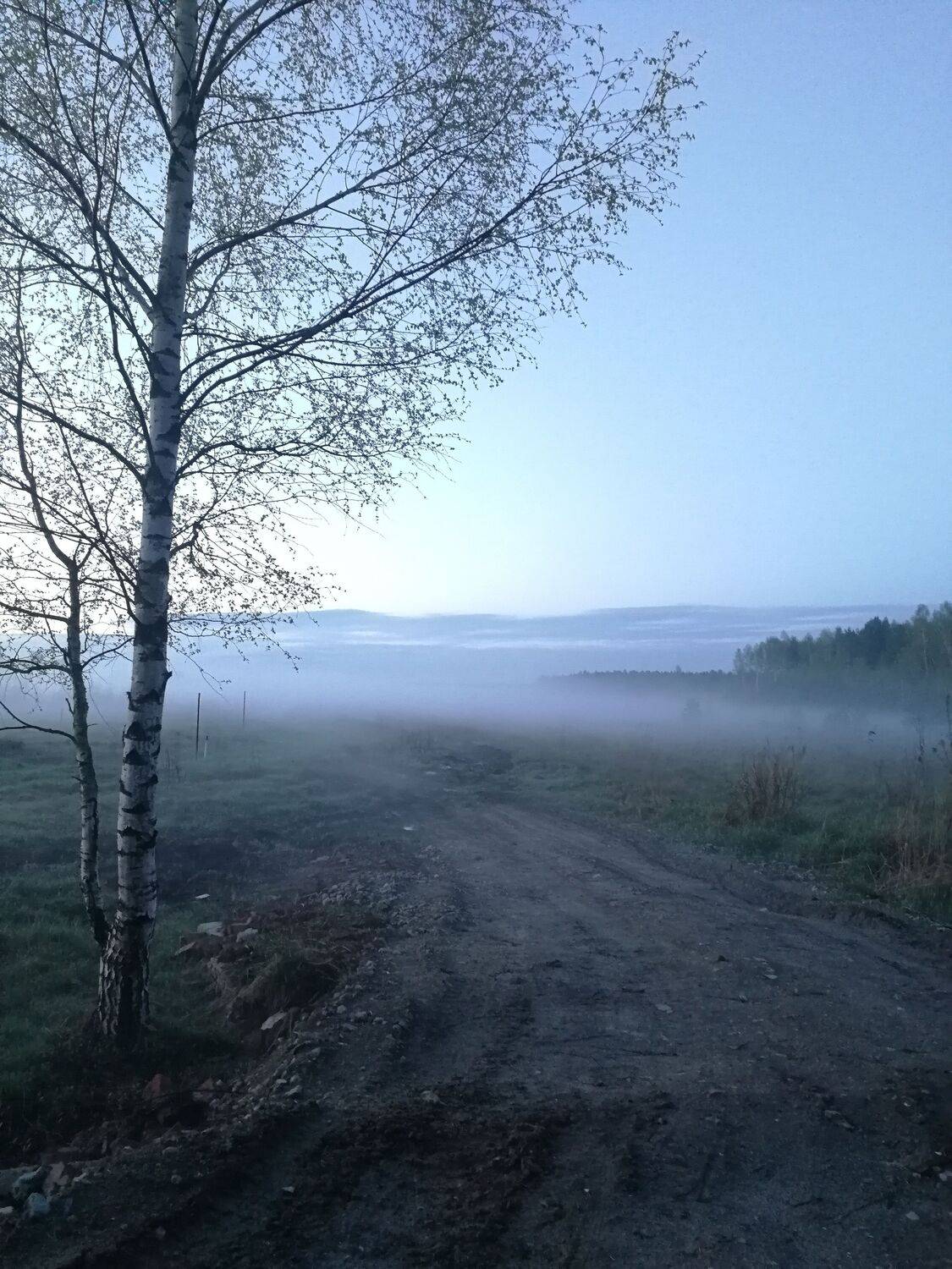 Photo #6866218