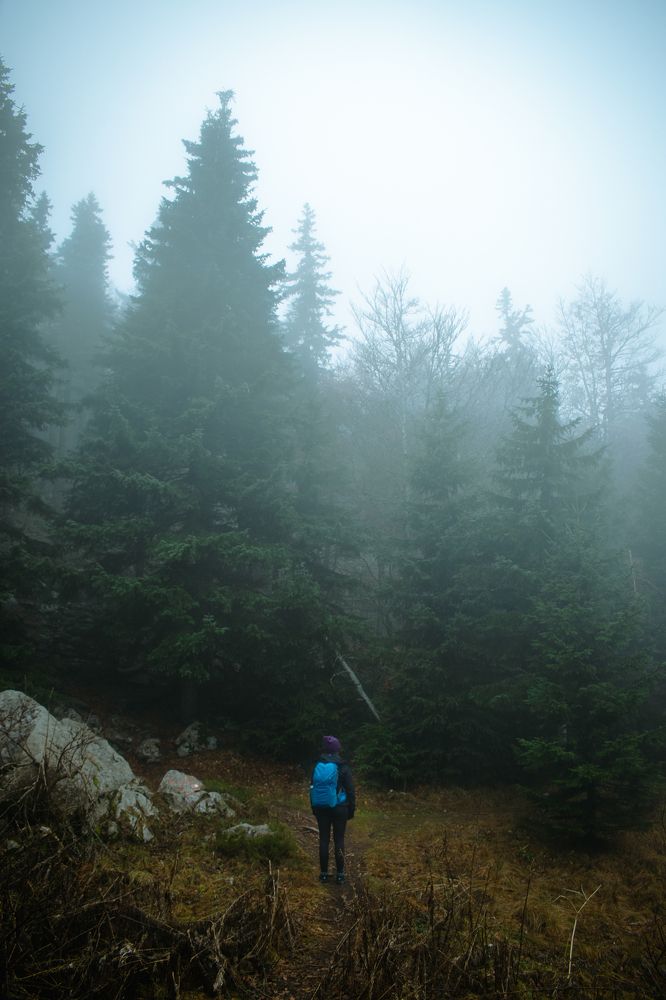 Photograph by Adam Widmer