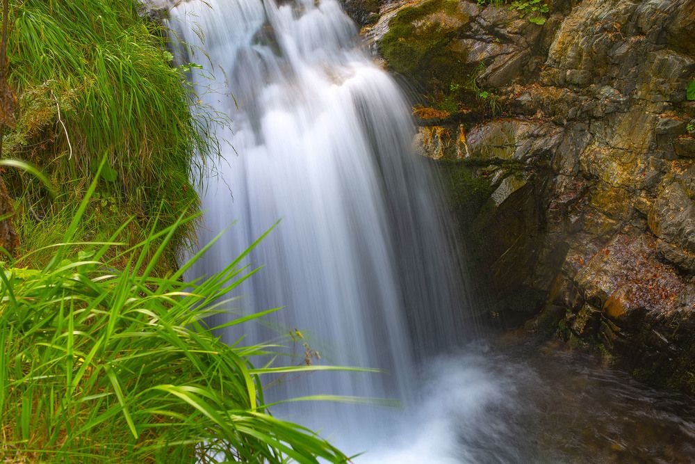 Фотография автора jean-luc