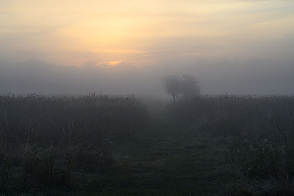 Photograph by Олег Сальников