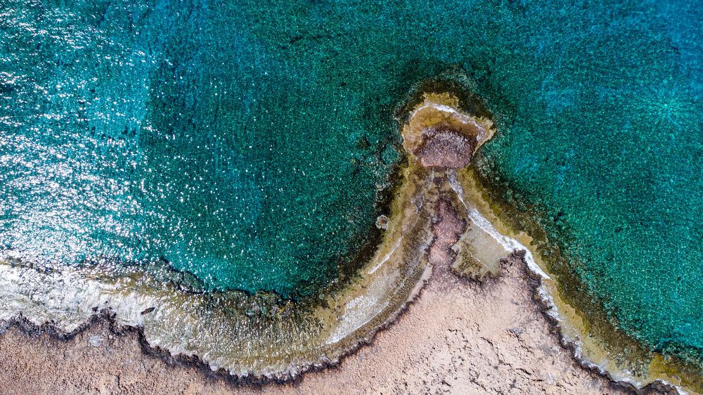 Photograph by Олег Сальников