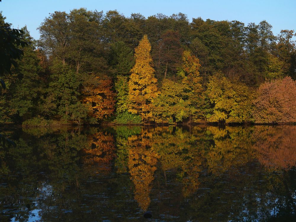 Photograph by Серафима Силина