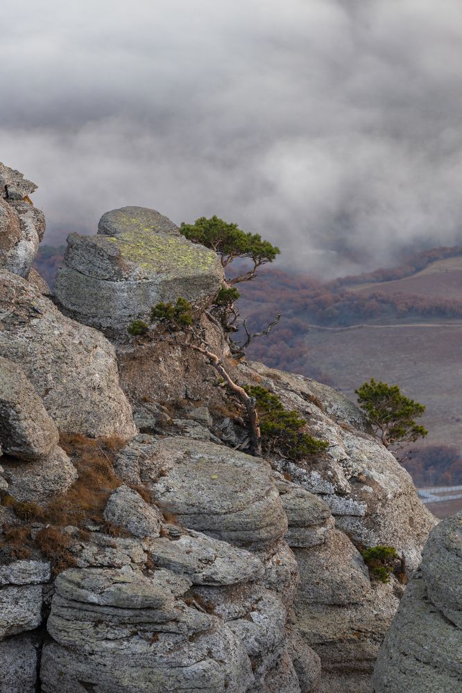 Photograph by Константин Шатилов