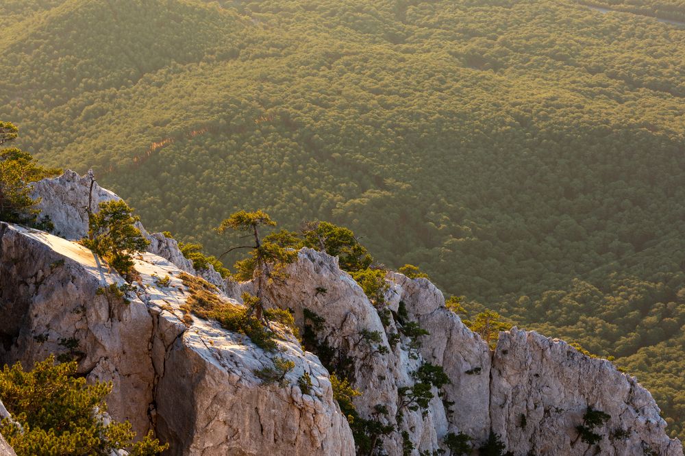 Photograph by Константин Шатилов