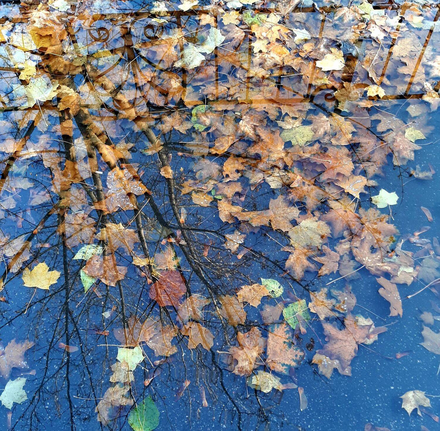 Photo #6866390