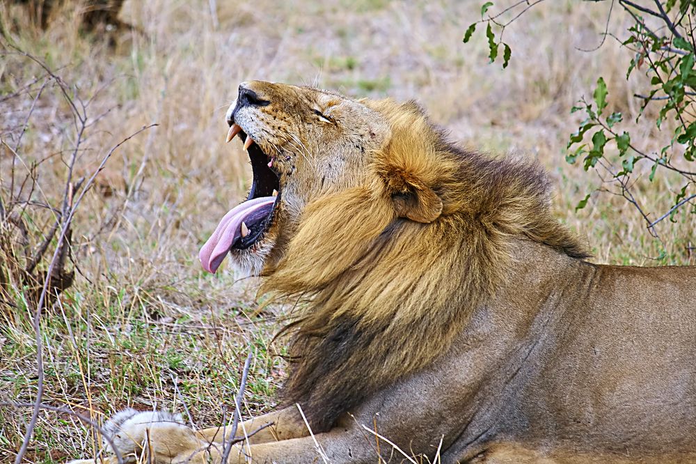 Портрет в экстерьере