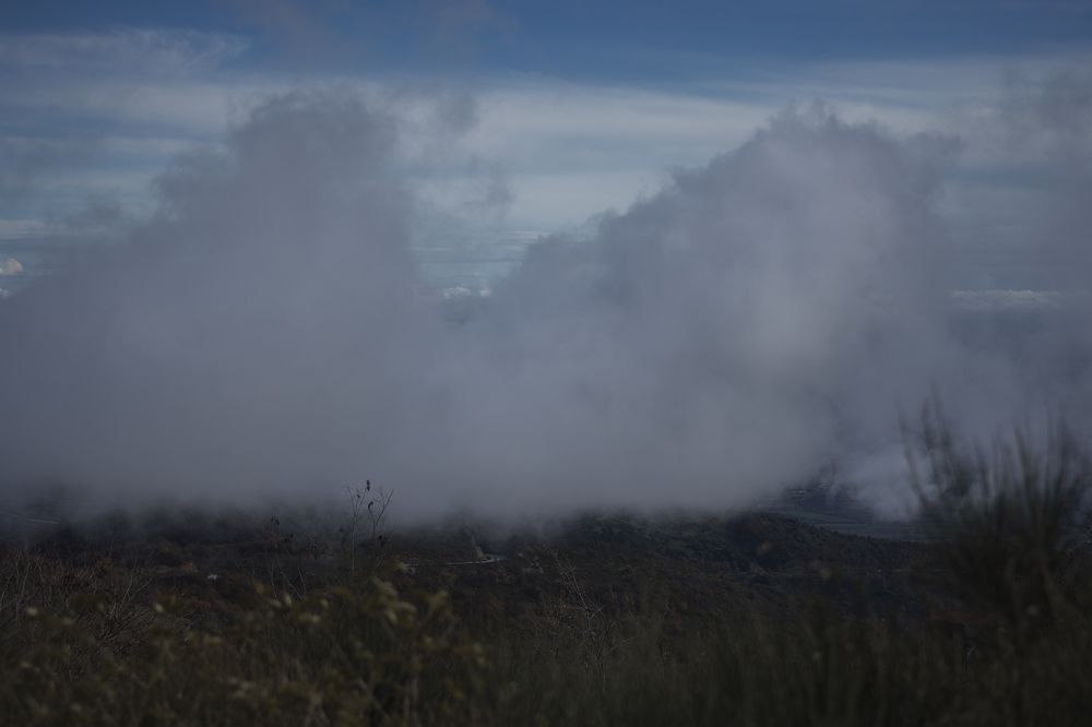 Photograph by RITSA KARASMANOGLOU