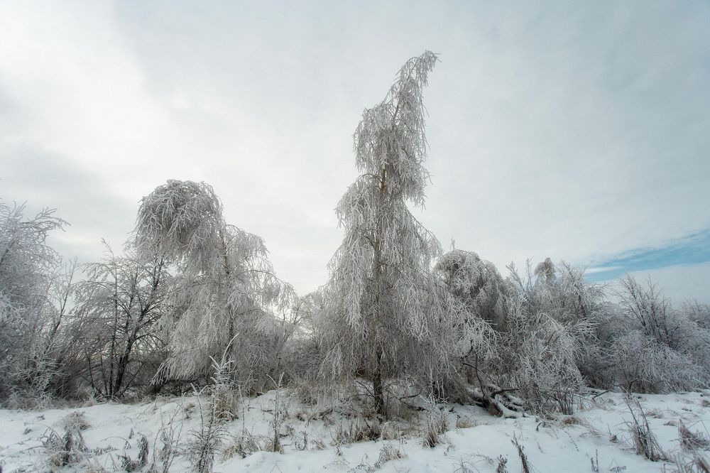 Photograph by Сергей Бибиков