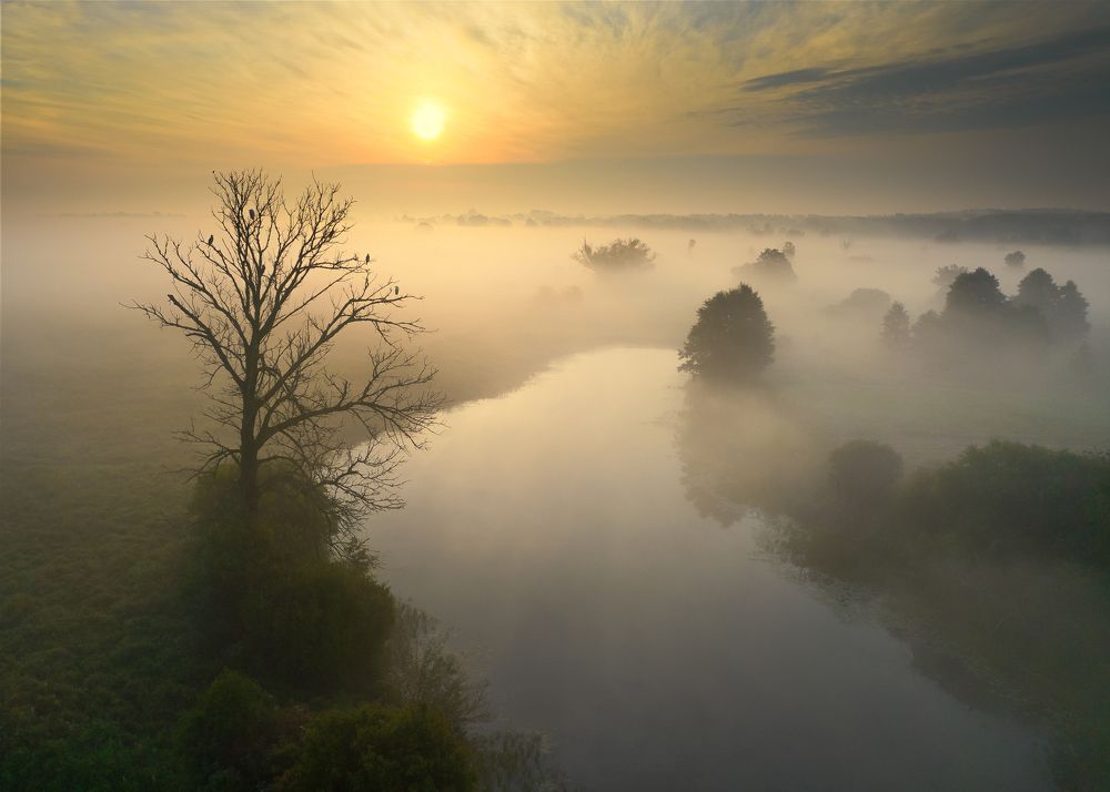 Photograph by Marcin Orszulak