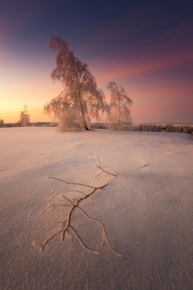 Ванильное утро. Vanilla morning.
