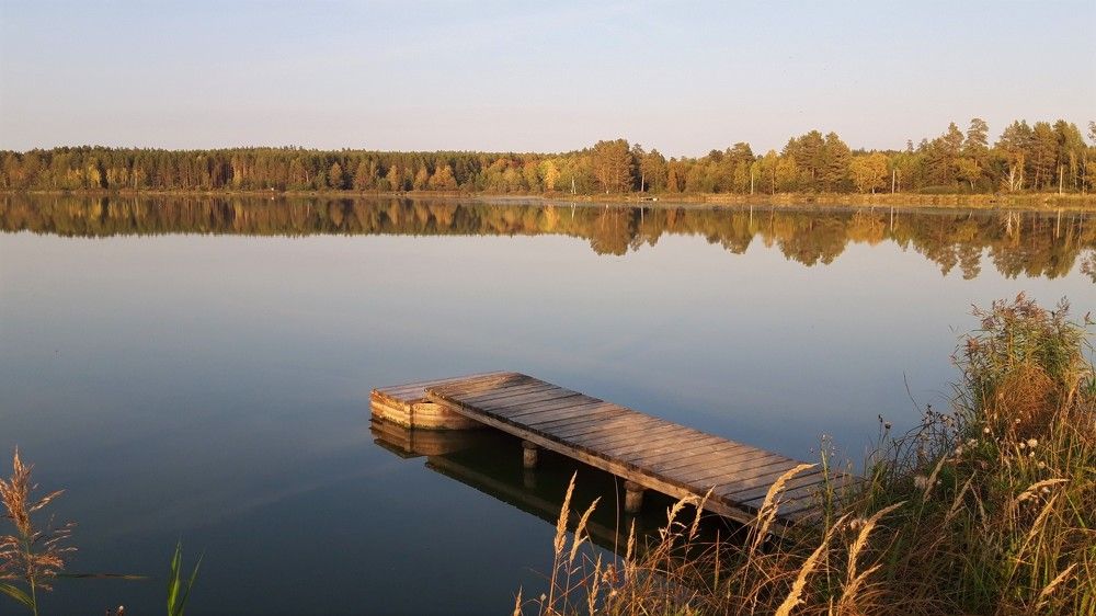 Фотография автора Елена Пикатова