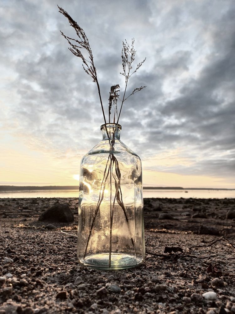 Photograph by Зоя