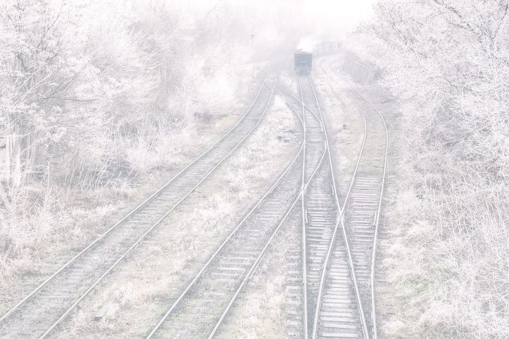 Фотография автора Олег Дашков
