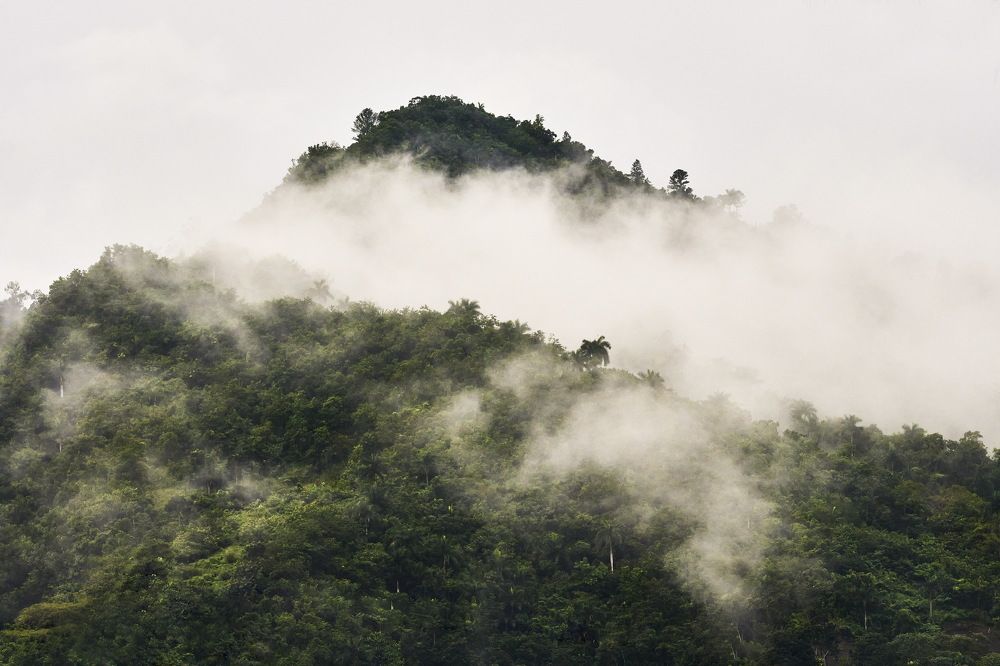 Photograph by Ryanny Torna