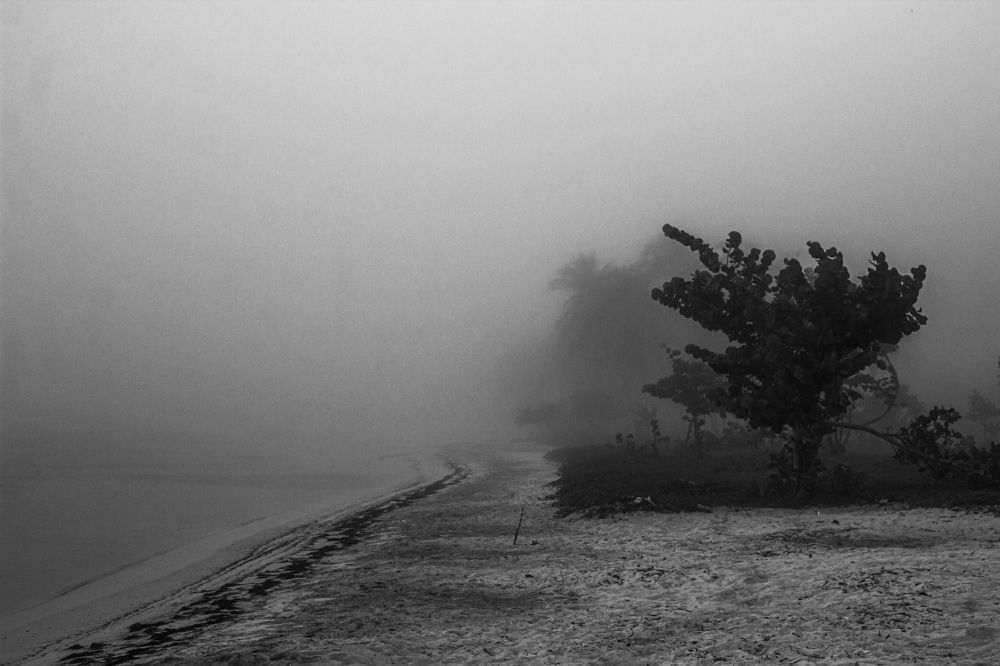 Photograph by Ryanny Torna